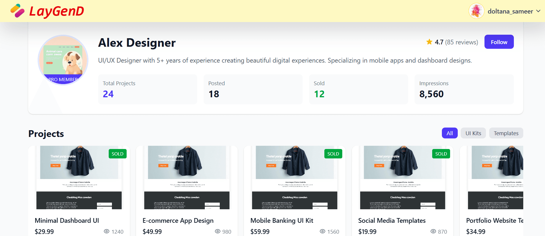 Portfolio Preview